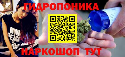 a pvp Тара