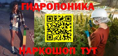 a pvp Тара