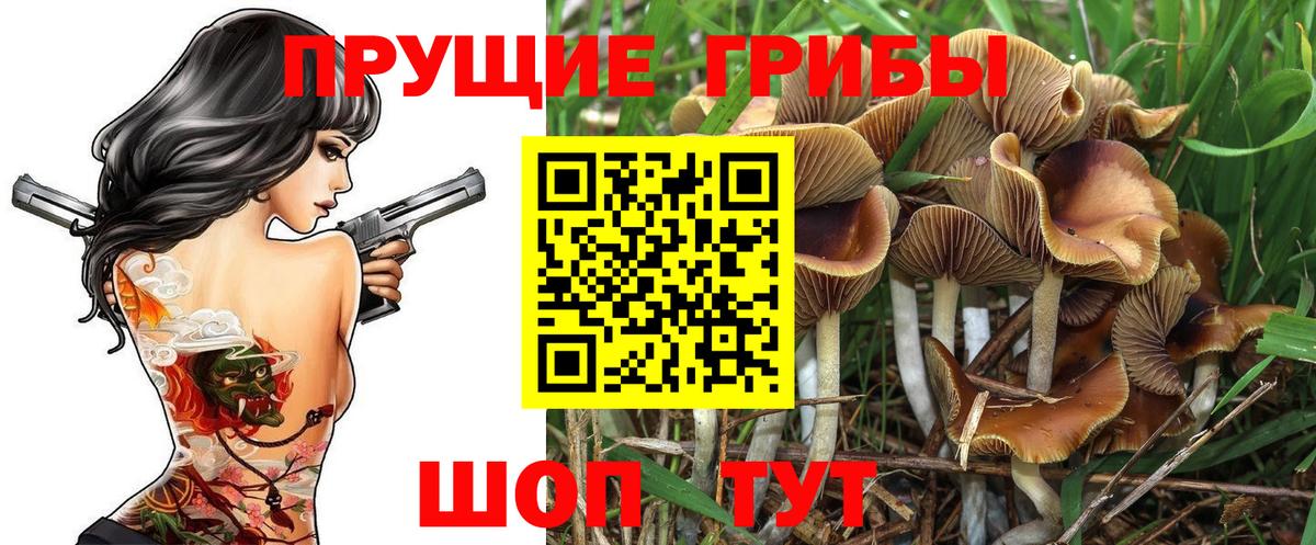 Нурлат  Галлюциногенные грибы мицелий  Вход с VPN 