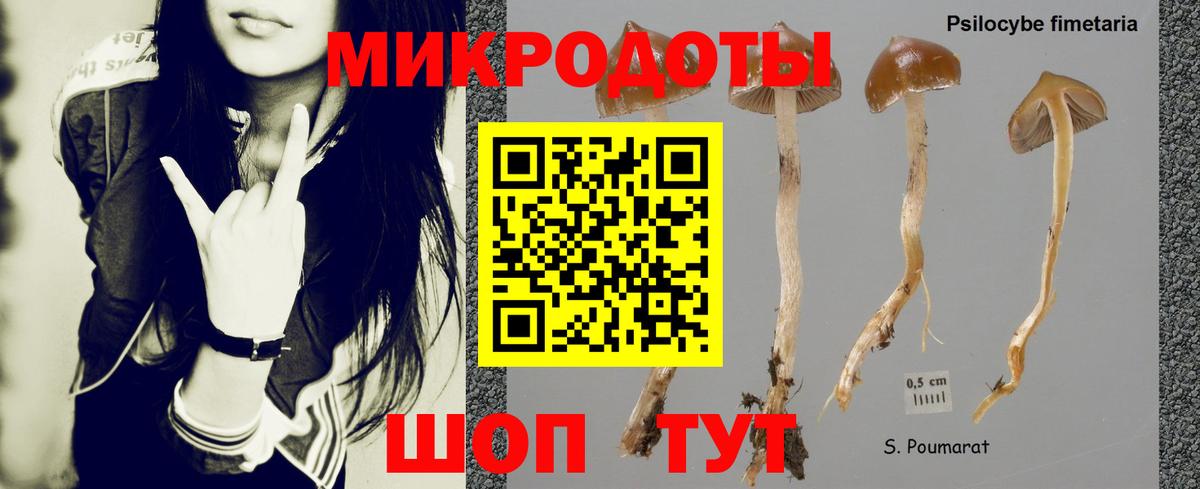 Галлюциногенные грибы Cubensis Нурлат
